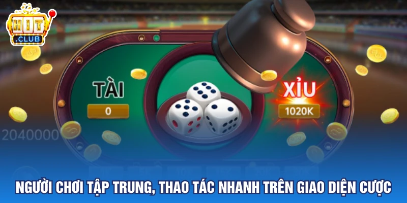 Người chơi tập trung, thao tác nhanh trên giao diện cược